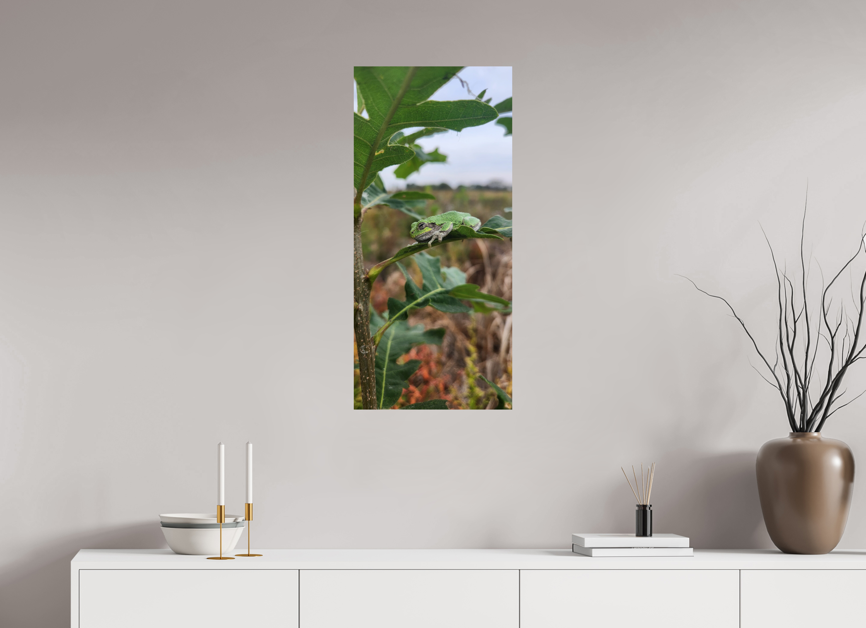 16 x 34.6″, Photo Print On Fuji Crystal DP II Grey treefrog