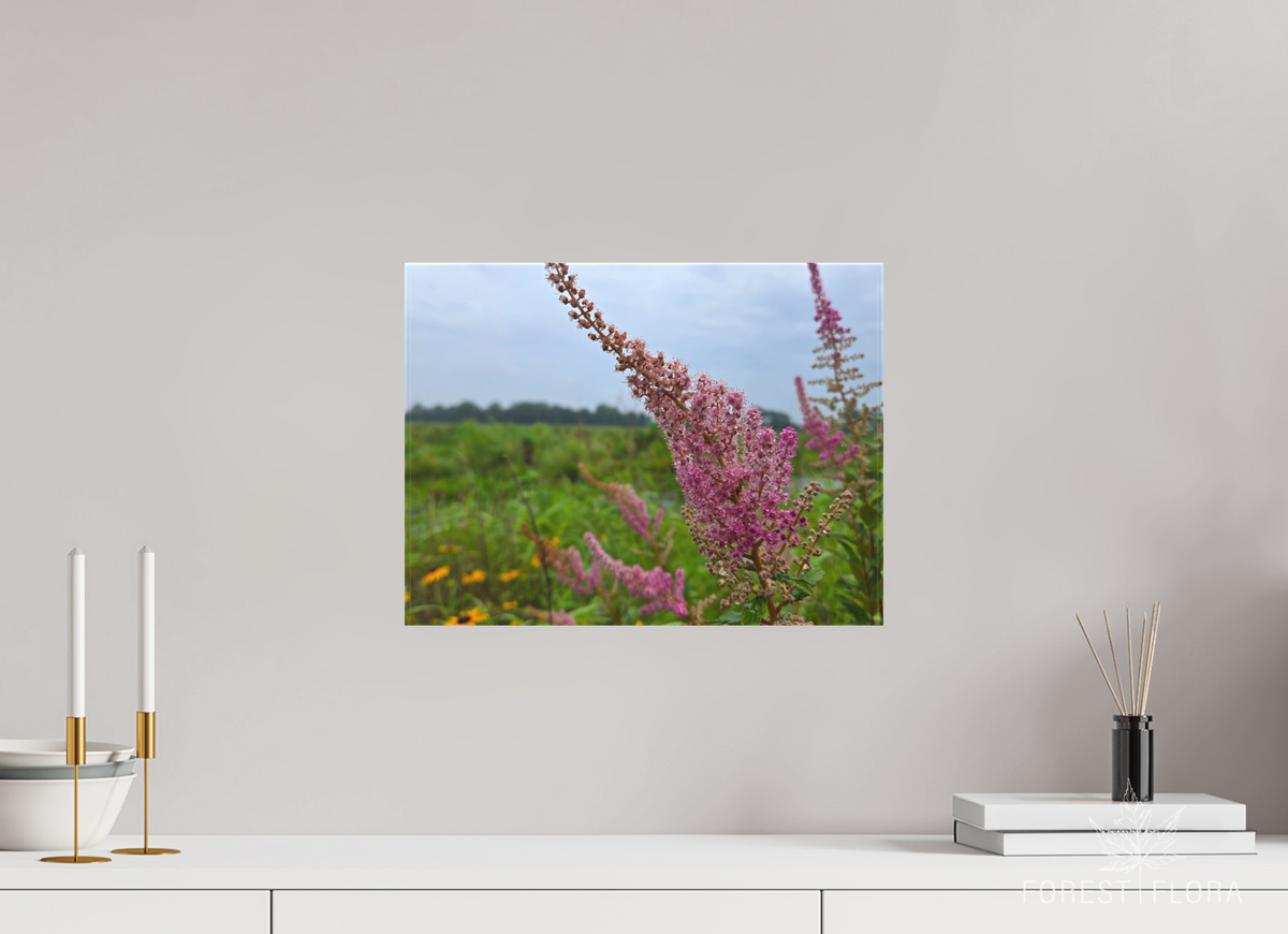 16 x 12″, canvas wrap Spireae Spires