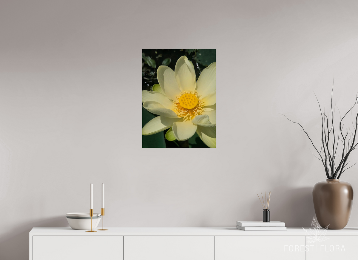 18 x 24″, Photo Print On Fuji Crystal DP II American lotus