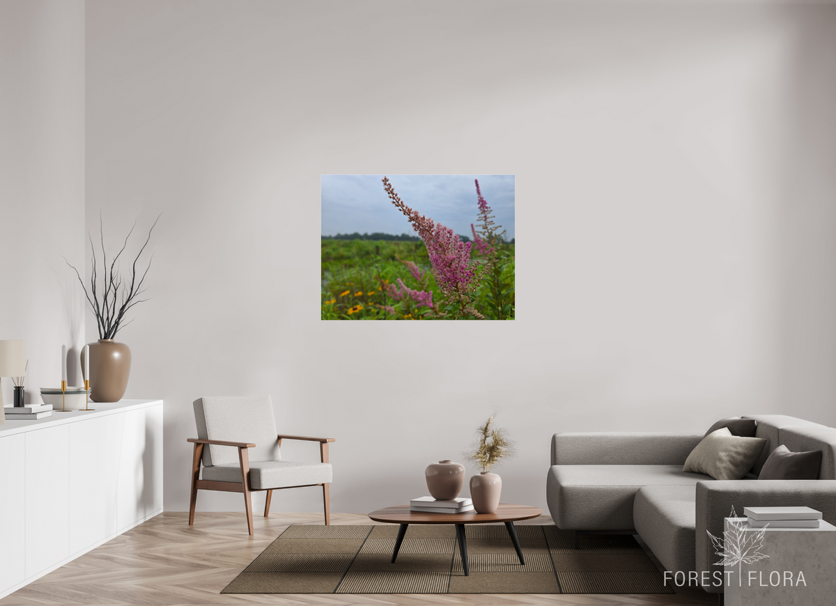 48 x 36″, Photo Print Under Acrylic Glass Spireae Spires
