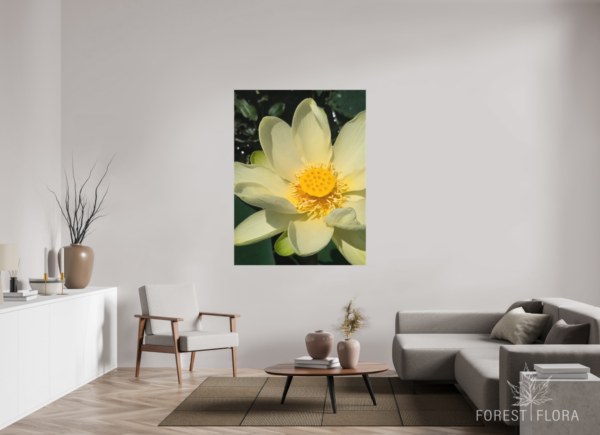 45 x 60″, canvas wrap American lotus