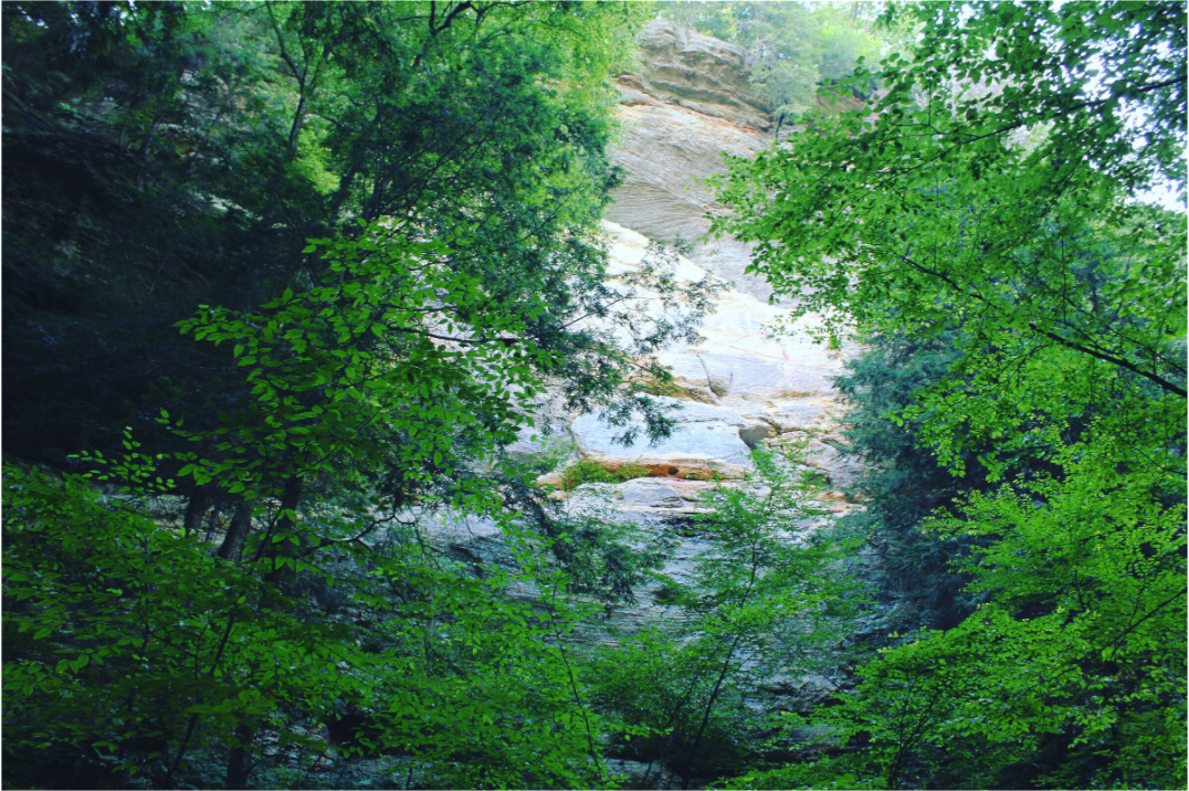 Main image Sanstone cliffs
