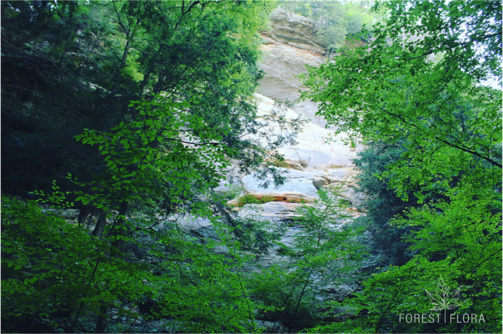 Main image Sanstone cliffs