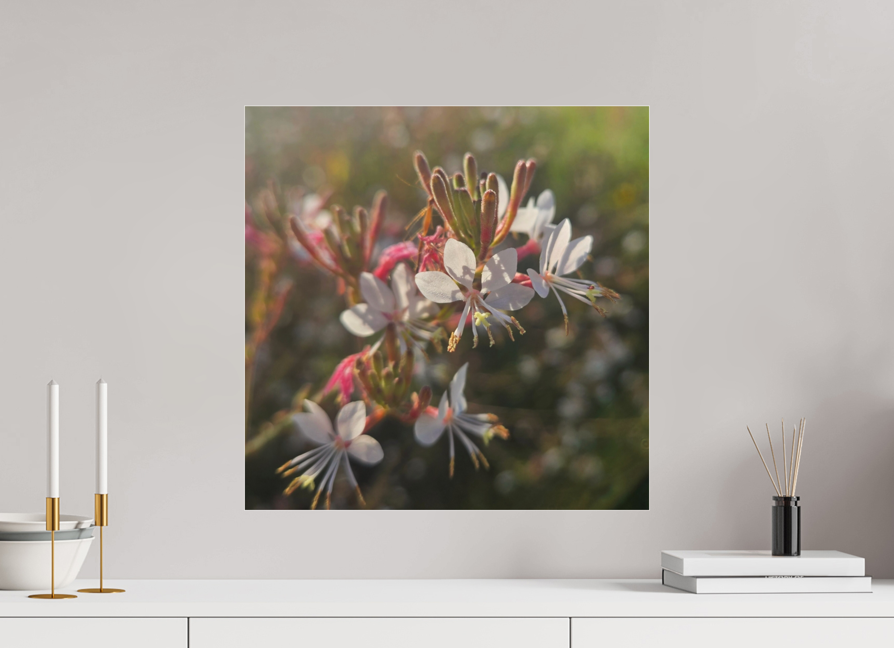 20 x 20″, Photo Print Under Acrylic Glass Morning light