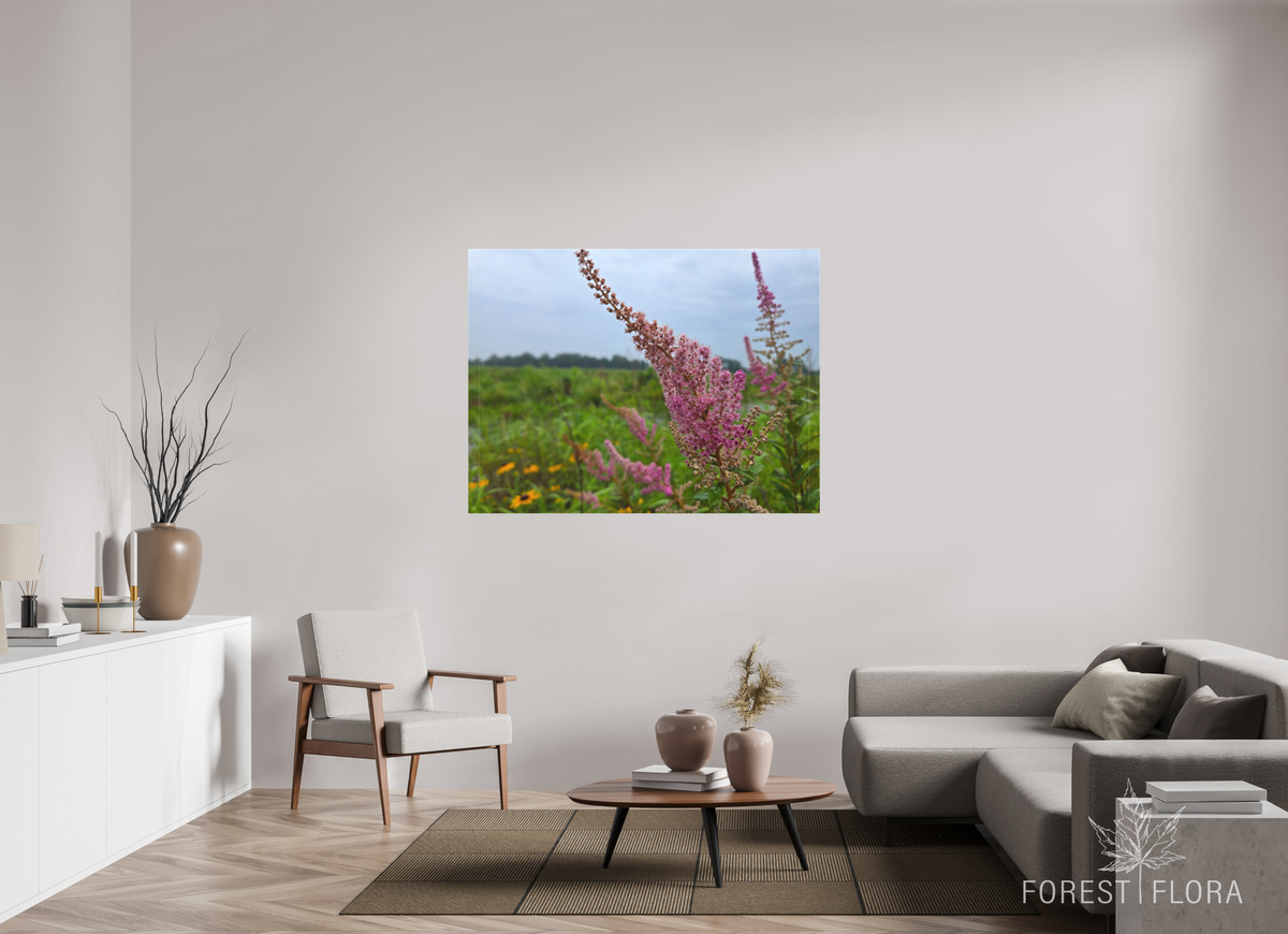56 x 42″, canvas wrap Spireae Spires