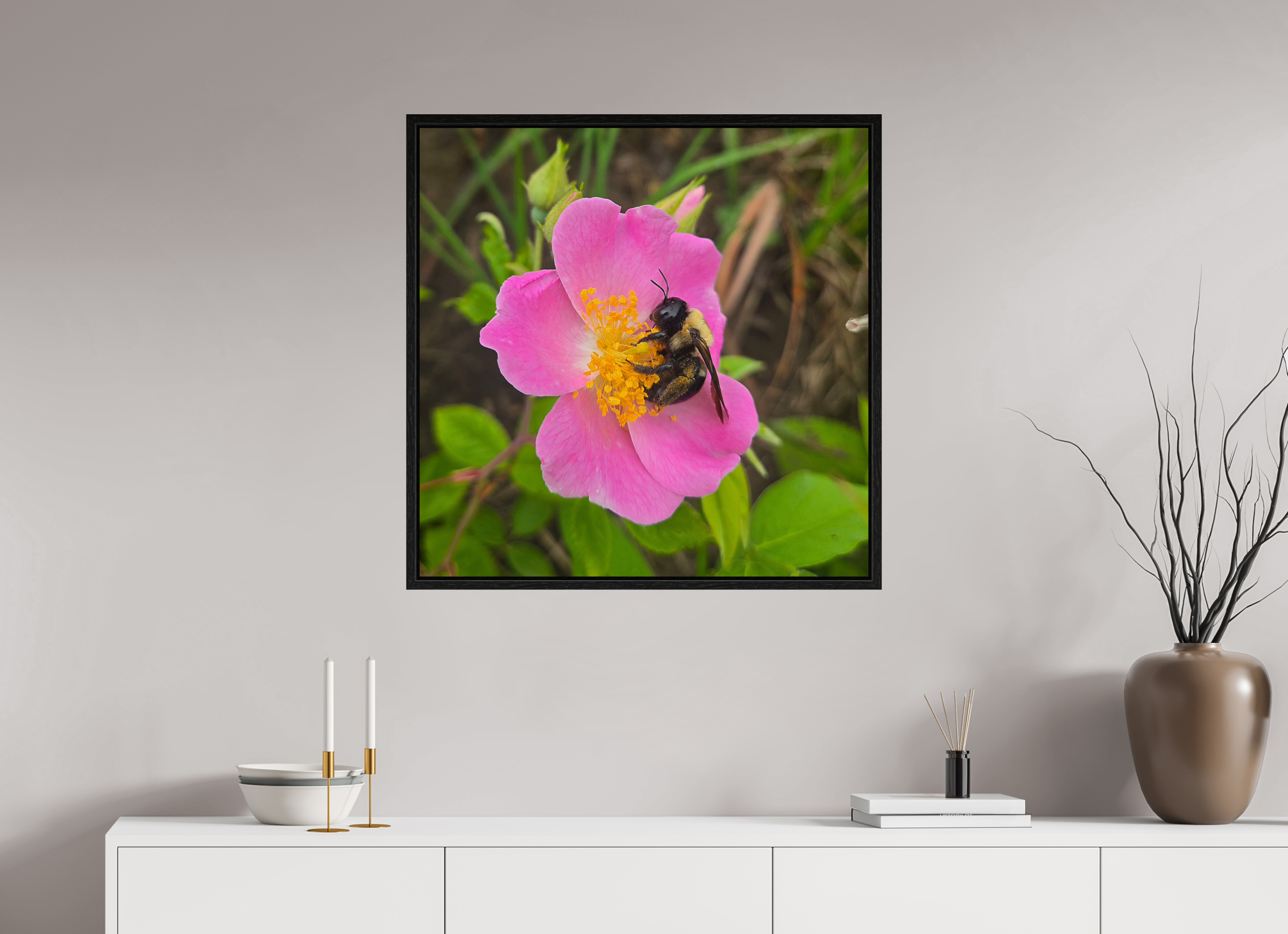 30 x 30″, Floater Frame Pollinator at restt