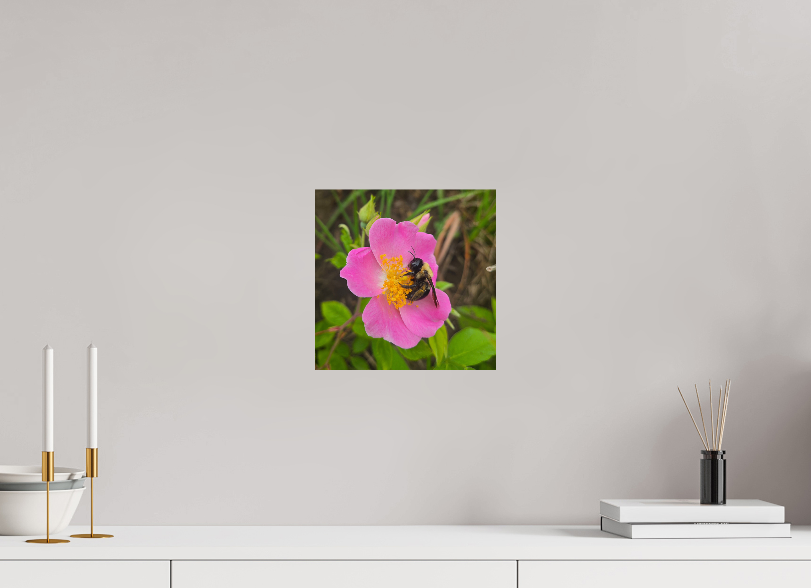 10 x 10″, Photo Print On Fuji Crystal DP II Pollinator at restt