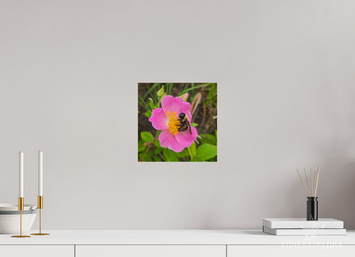 10 x 10″, Photo Print On Fuji Crystal DP II Pollinator at restt
