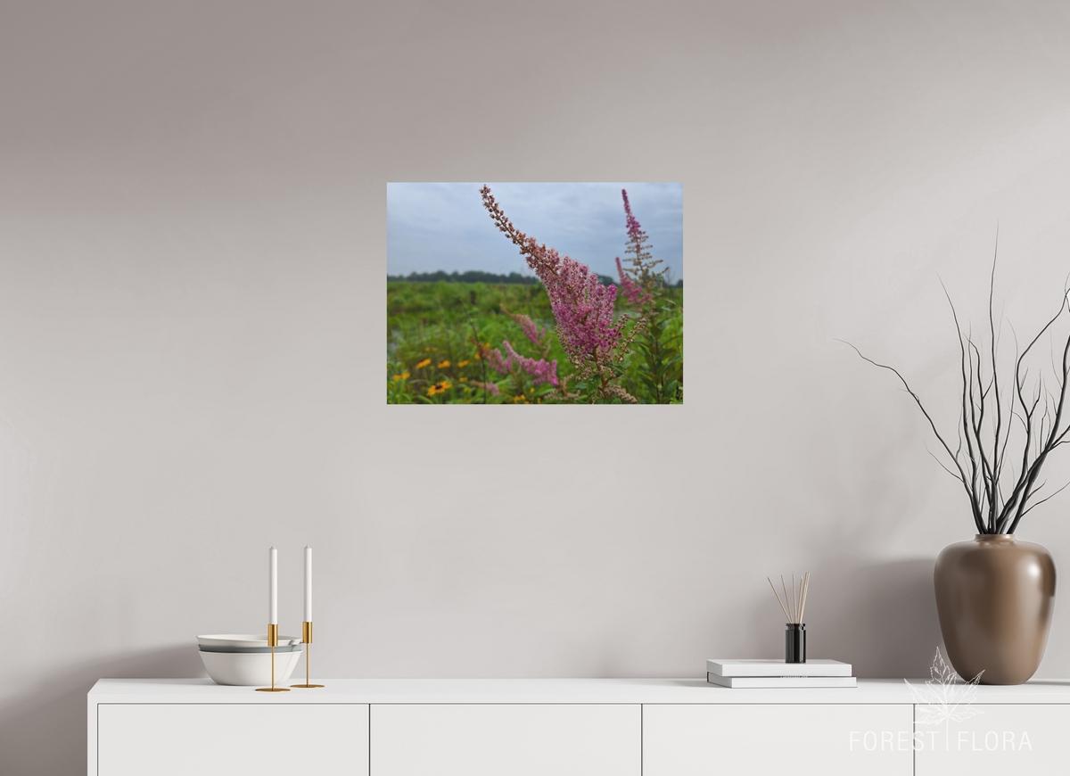 24 x 18″, aluminum print Spireae Spires