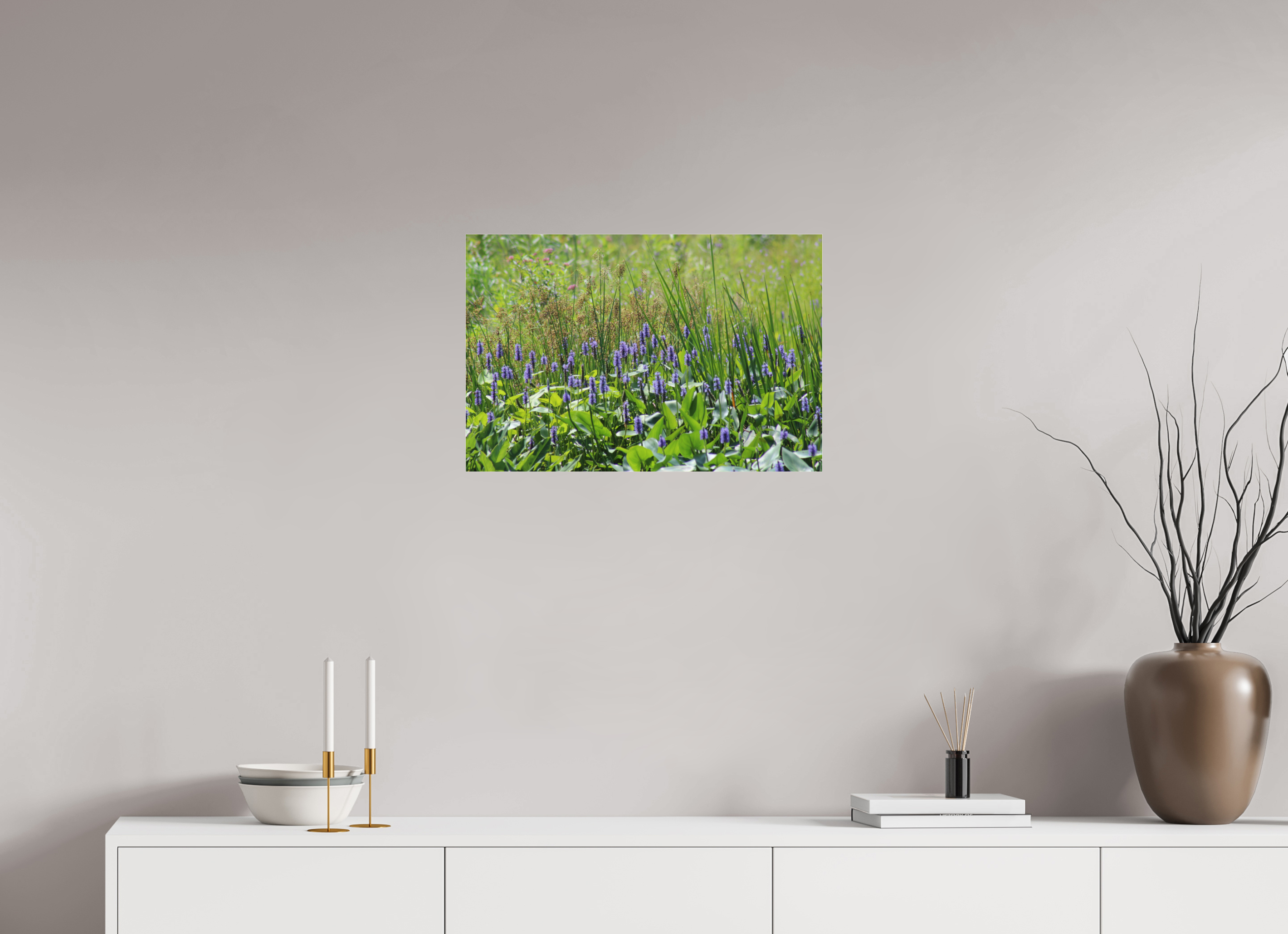 24 x 16″, Photo Print Under Acrylic Glass Pickeralweed pond