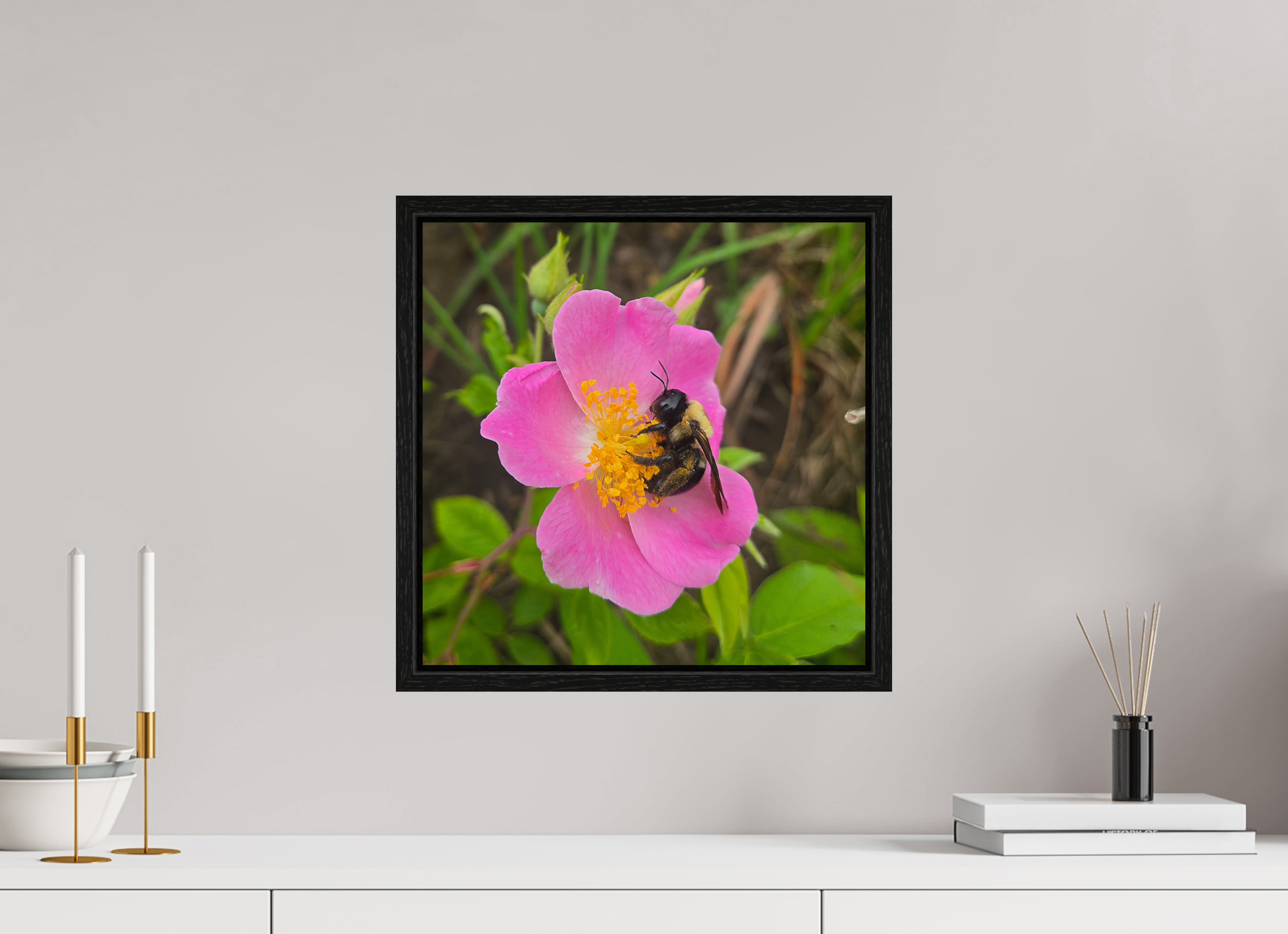 15 x 15″, Floater Frame Pollinator at restt