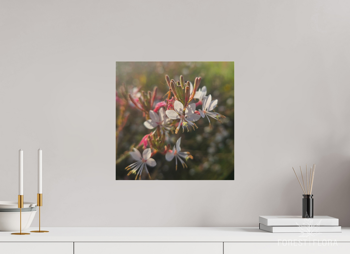15 x 15″, Photo Print Under Acrylic Glass Morning light