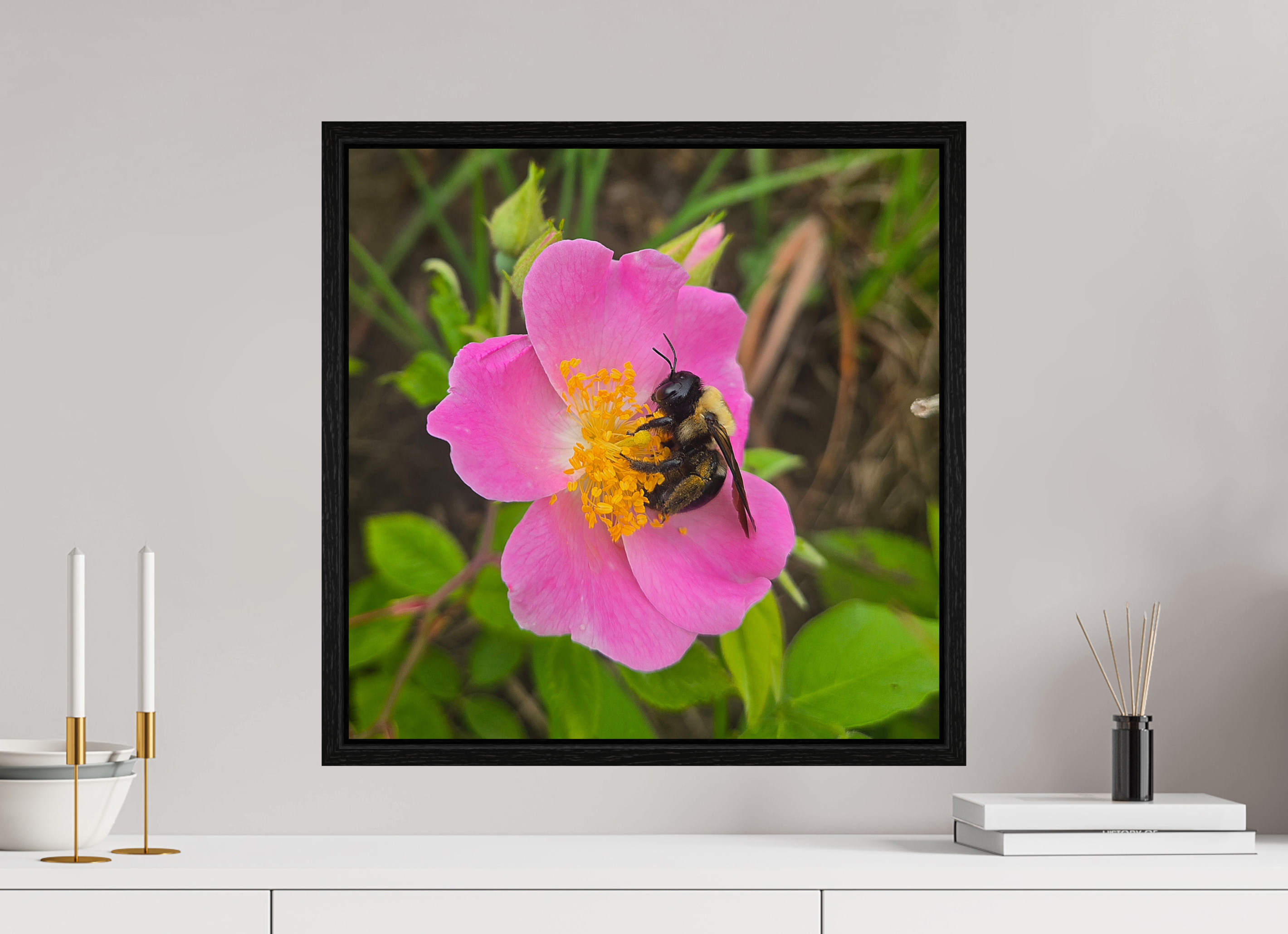 20 x 20″, Floater Frame Pollinator at restt