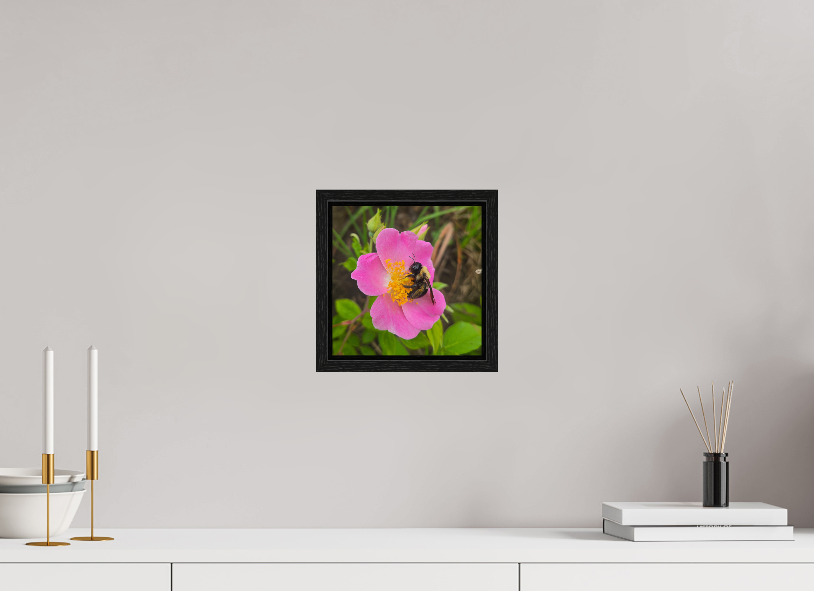 8 x 8″, Floater Frame Pollinator at restt