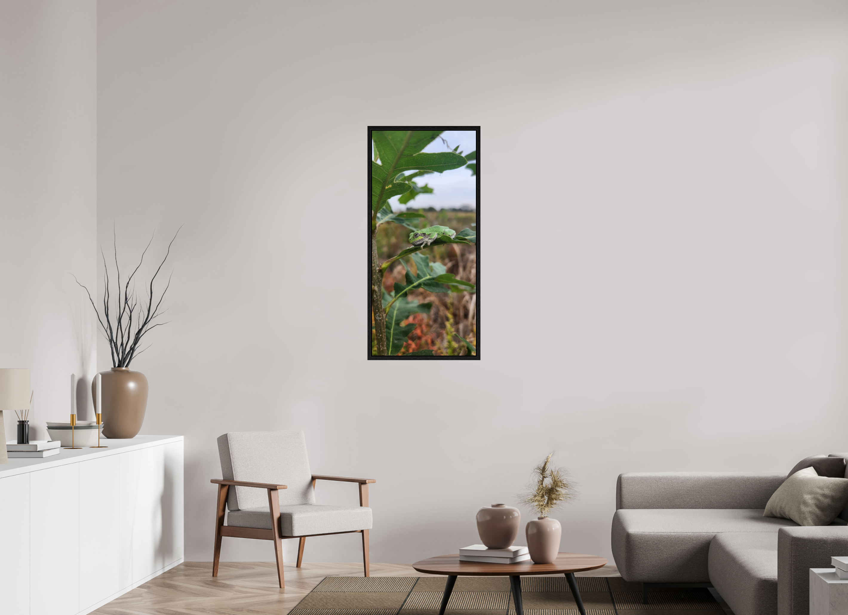 20 x 43.3″, Floater Frame Grey treefrog