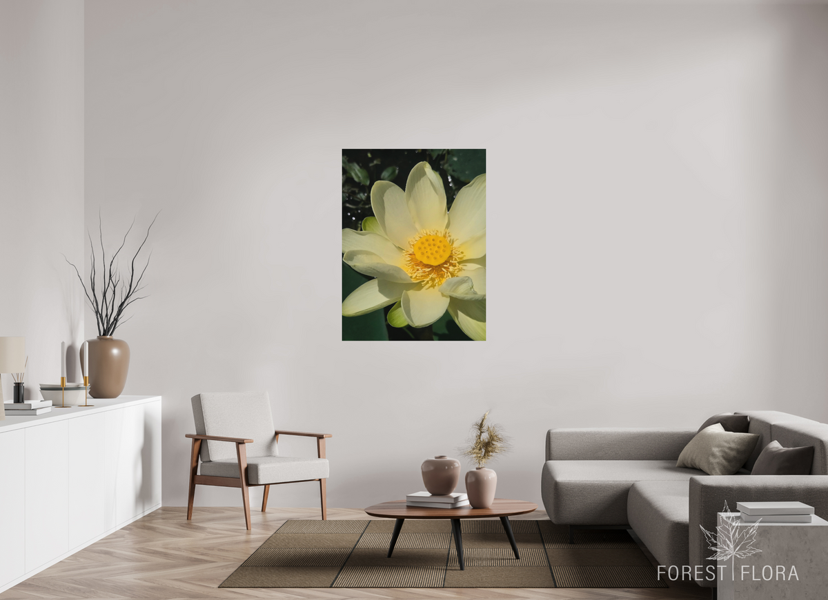36 x 48″, aluminum print American lotus
