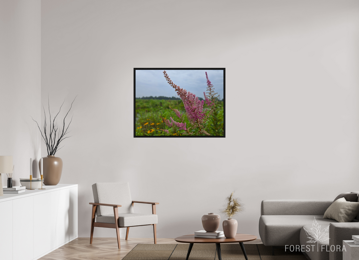 40 x 30″, Floater Frame Spireae Spires