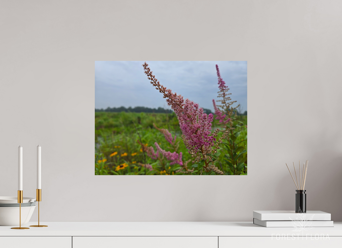 20 x 15″, Photo Print On Fuji Crystal DP II Spireae Spires