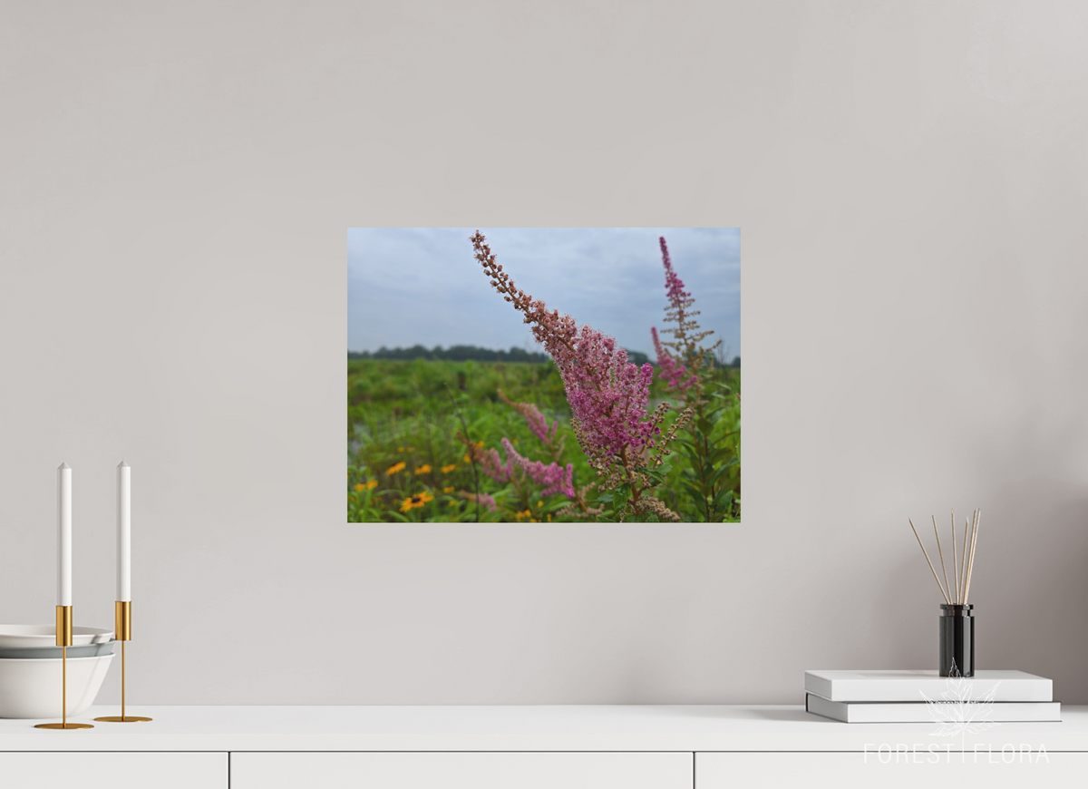 16 x 12″, aluminum print Spireae Spires