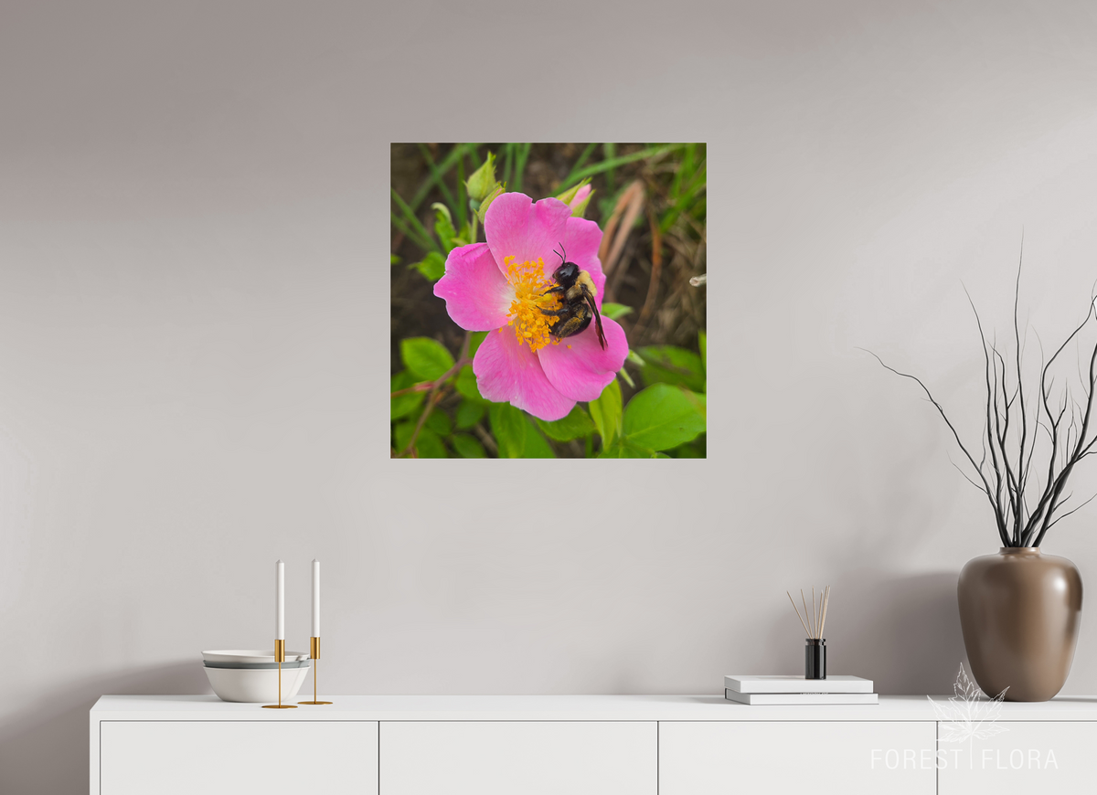25 x 25″, Photo Print Under Acrylic Glass Pollinator at restt