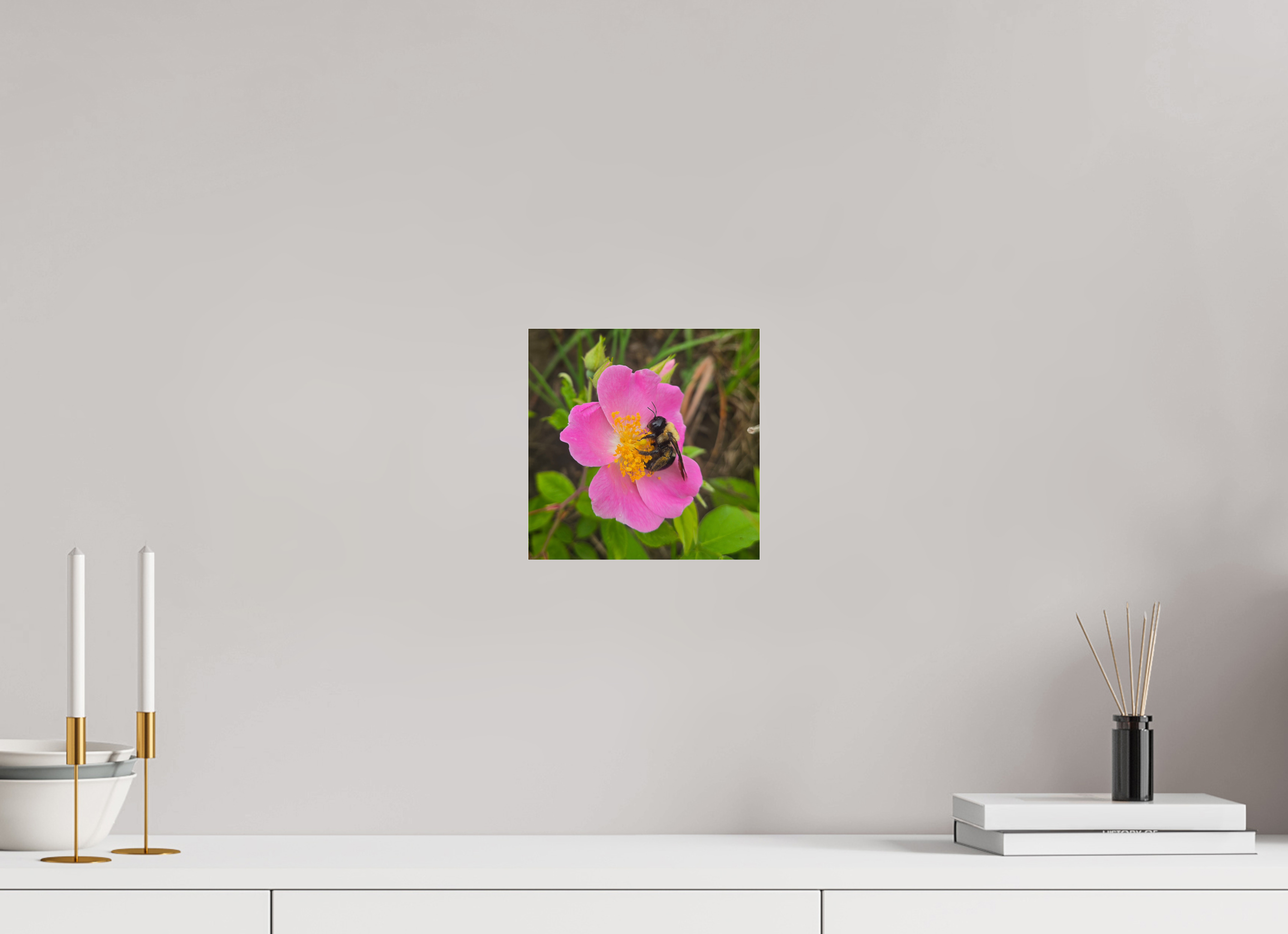 8 x 8″, Photo Print Under Acrylic Glass Pollinator at restt