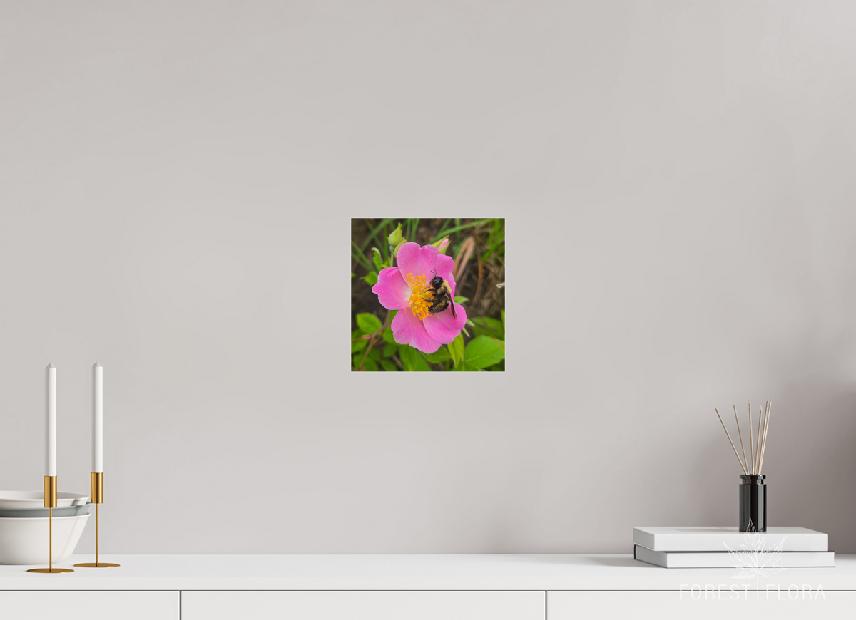 8 x 8″, Photo Print Under Acrylic Glass Pollinator at restt