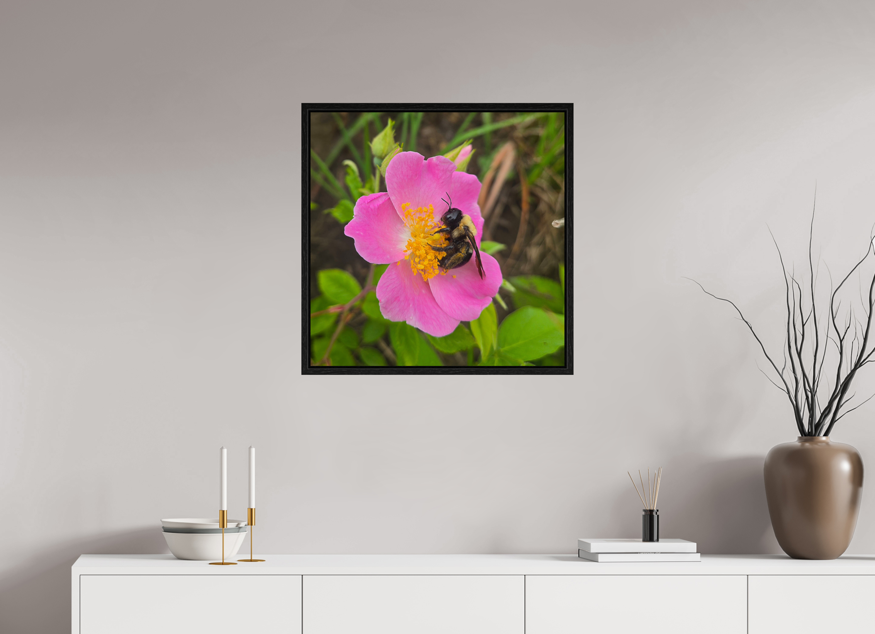 25 x 25″, Floater Frame Pollinator at restt