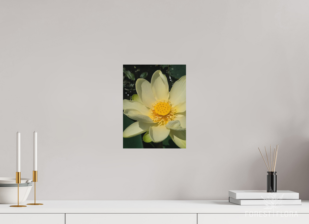 9 x 12″, aluminum print American lotus