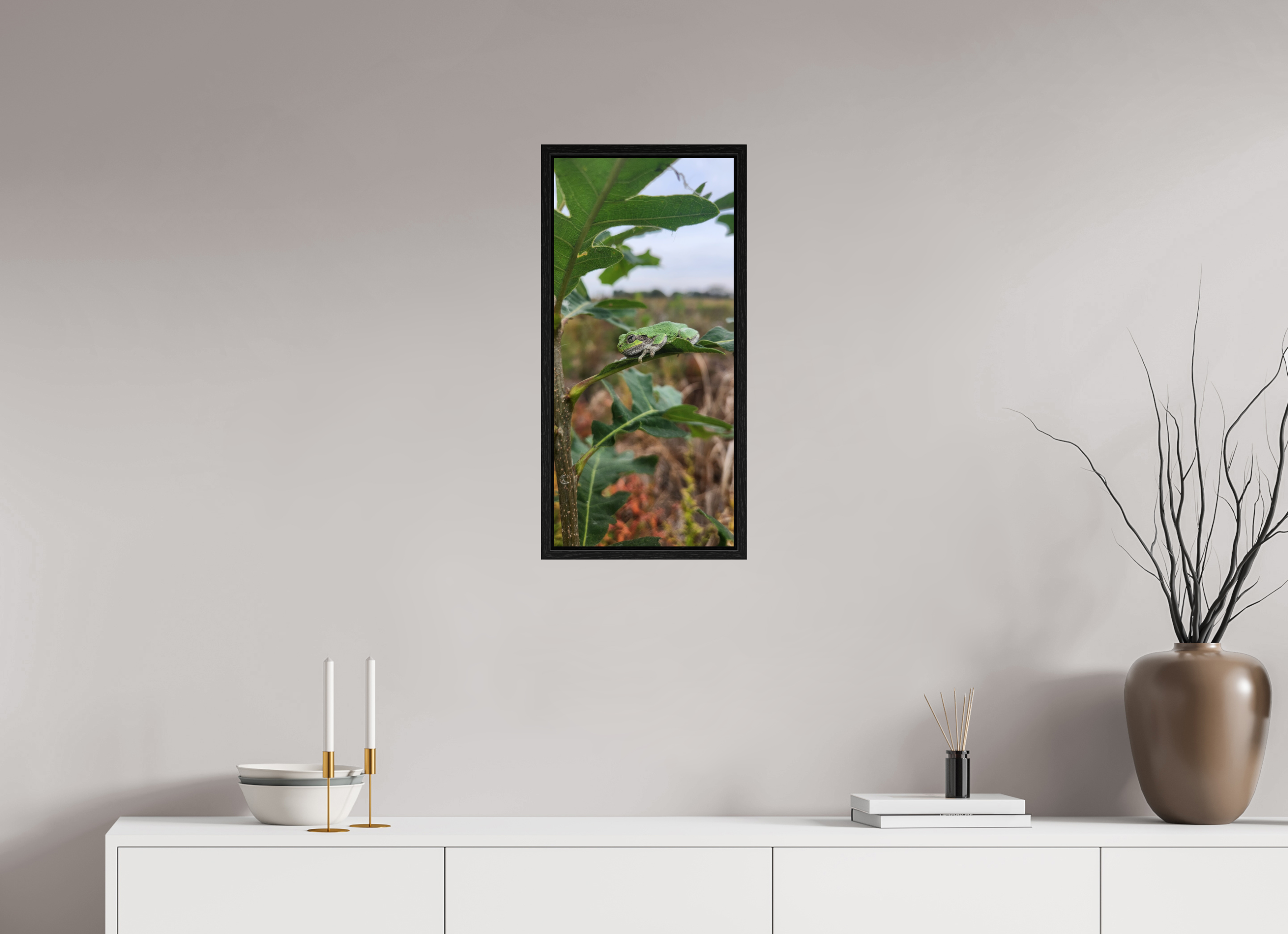 12 x 26″, Floater Frame Grey treefrog