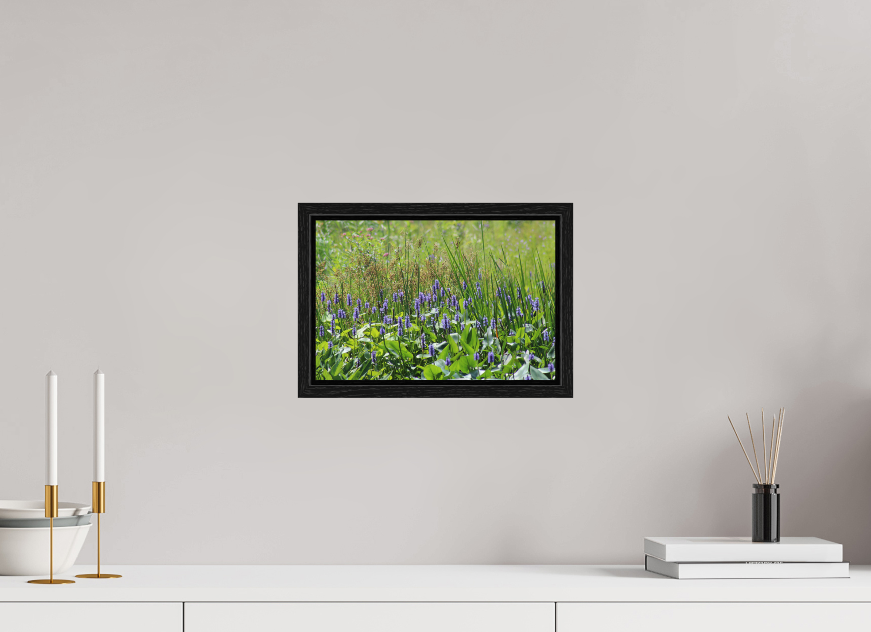 12 x 8″, Floater Frame Pickeralweed pond