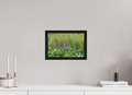 12 x 8″, Floater Frame Pickeralweed pond