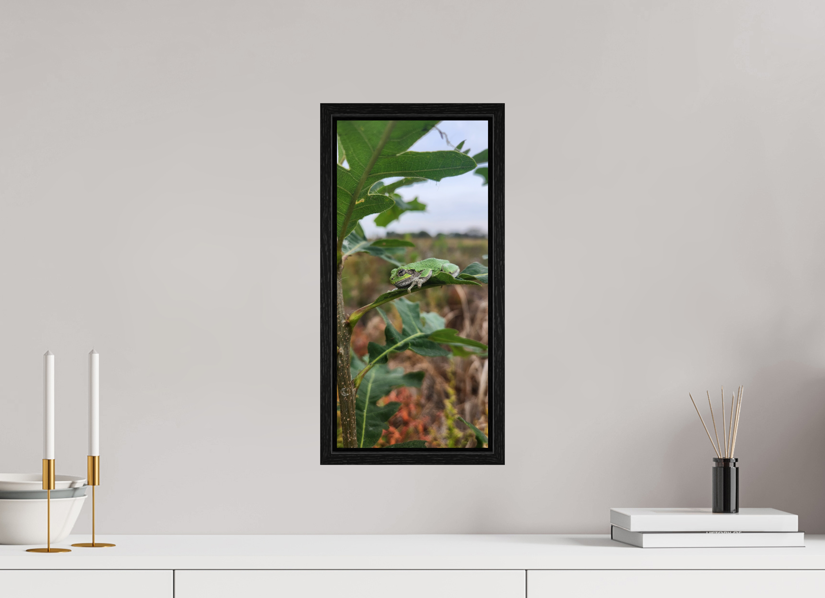 8 x 17.3″, Floater Frame Grey treefrog