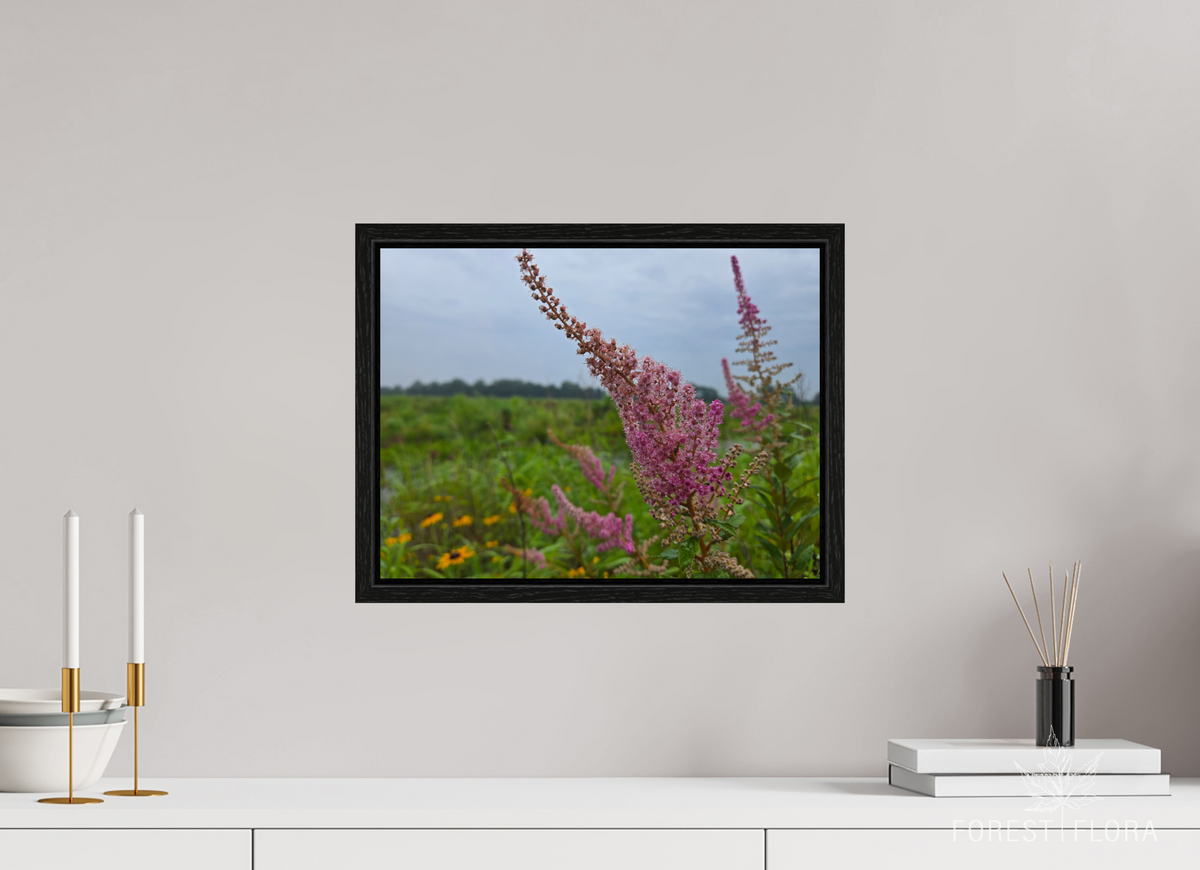 16 x 12″, Floater Frame Spireae Spires
