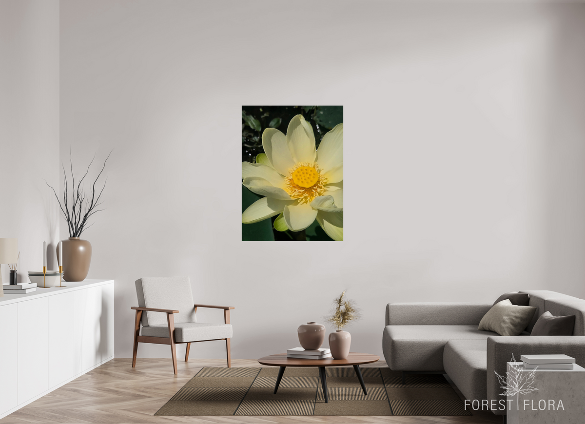 36 x 48″, Photo Print On Fuji Crystal DP II American lotus