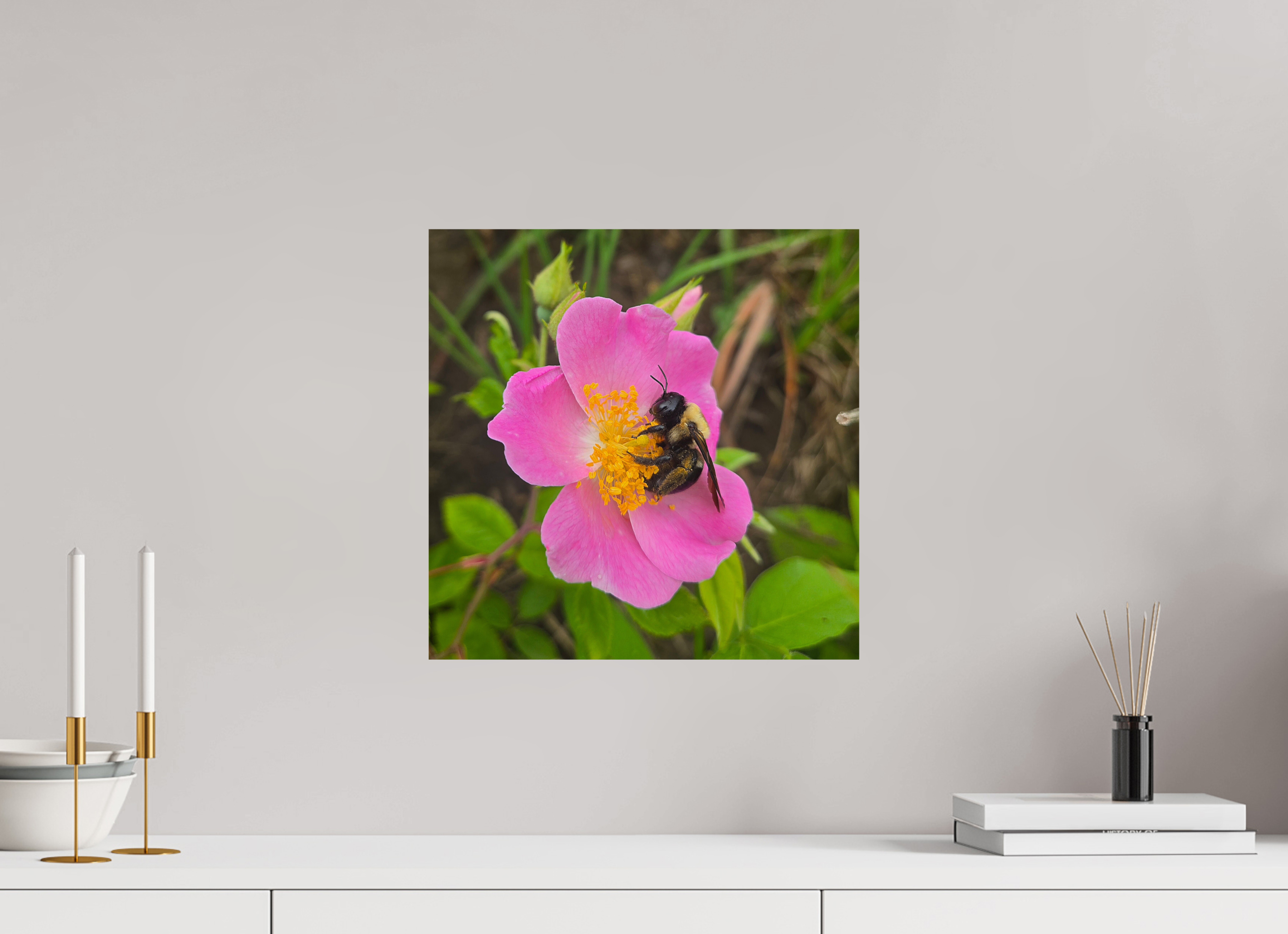 15 x 15″, Photo Print On Fuji Crystal DP II Pollinator at restt