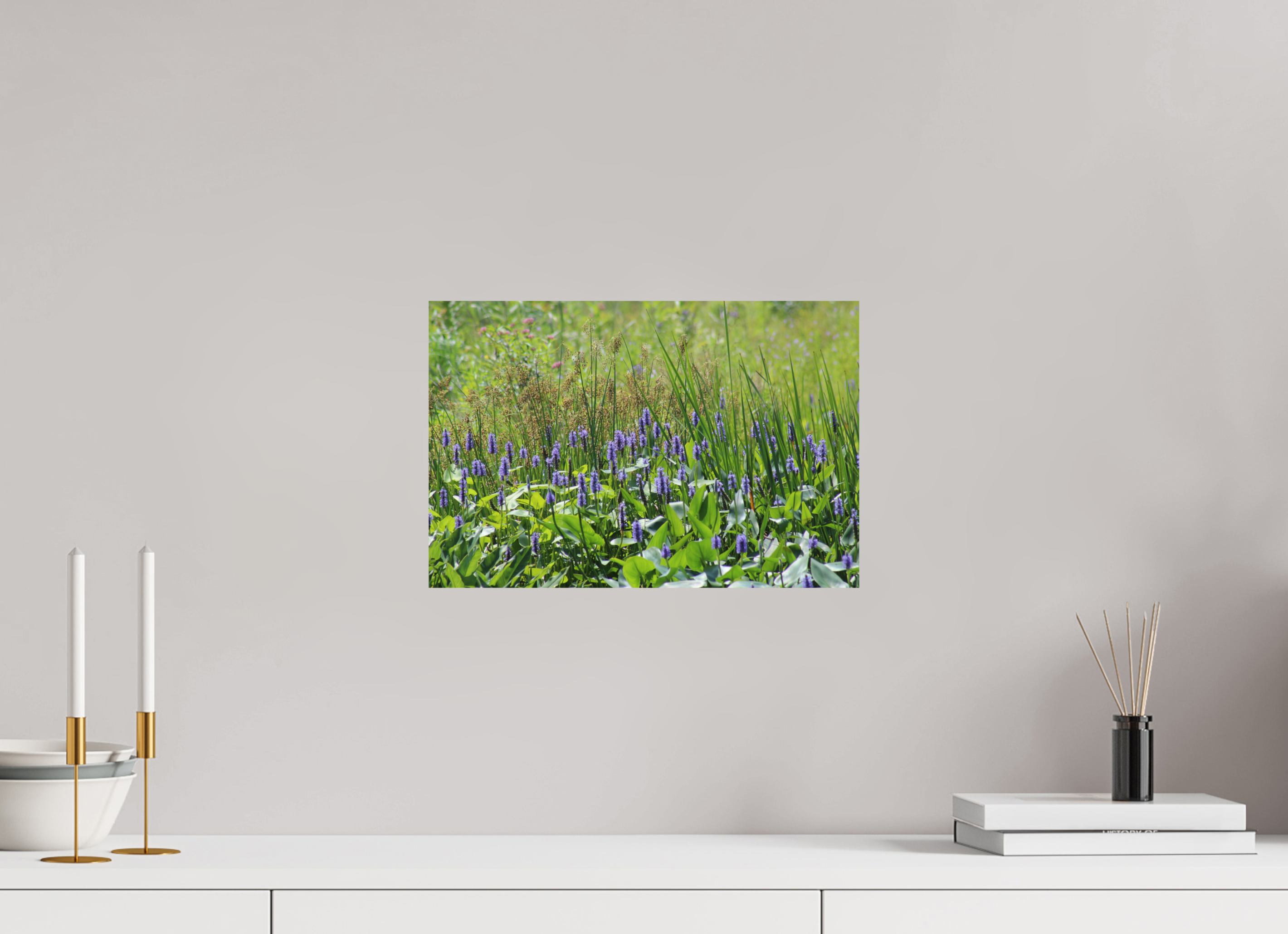 15 x 10″, Photo Print On Fuji Crystal DP II Pickeralweed pond