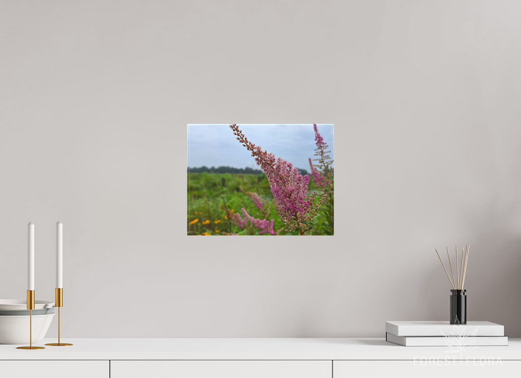 12 x 9″, canvas wrap Spireae Spires