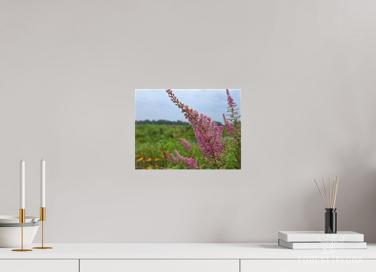 12 x 9″, canvas wrap Spireae Spires