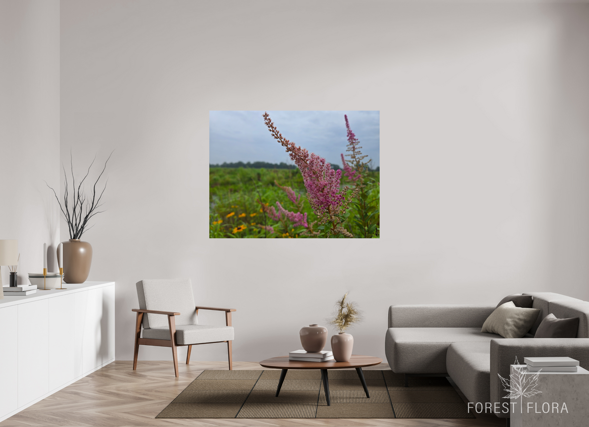 60 x 45″, Photo Print On Fuji Crystal DP II Spireae Spires