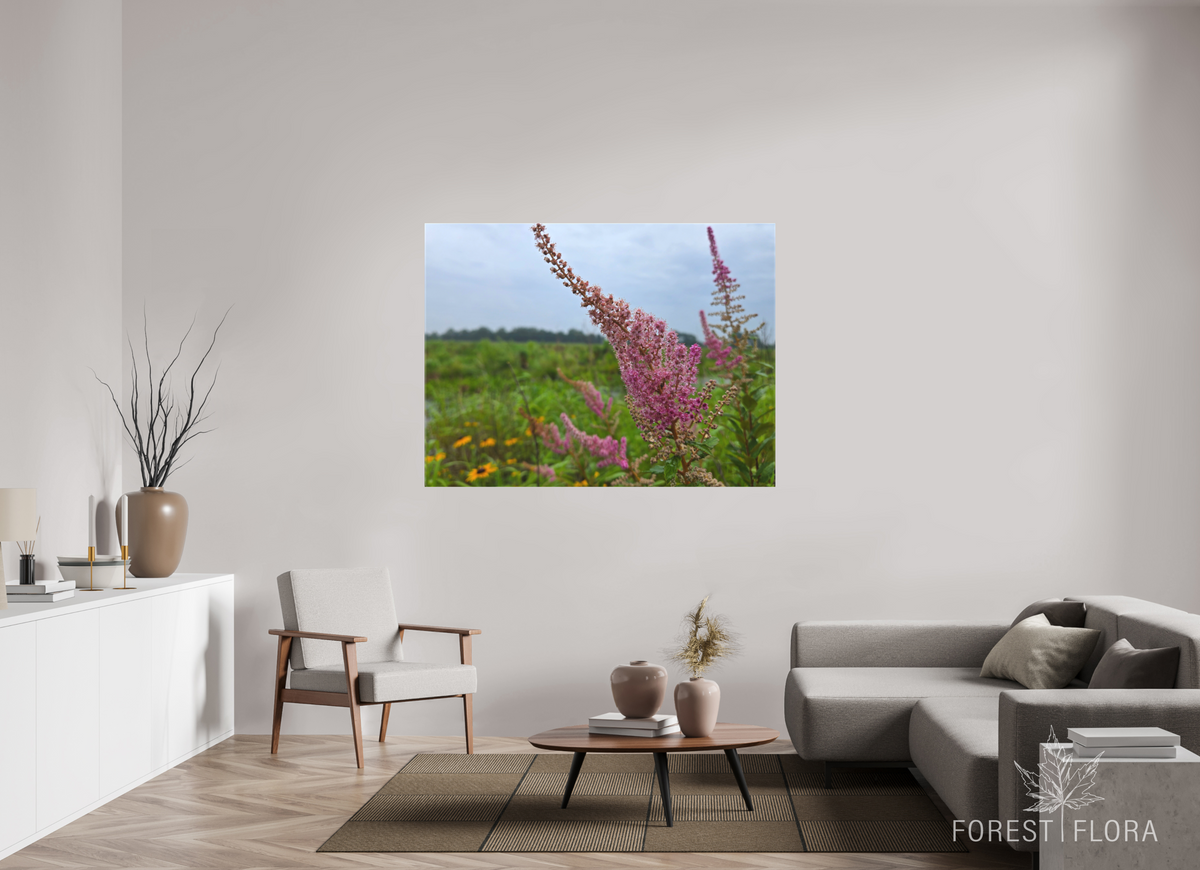 60 x 45″, canvas wrap Spireae Spires