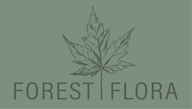 Forest Flora Photography 