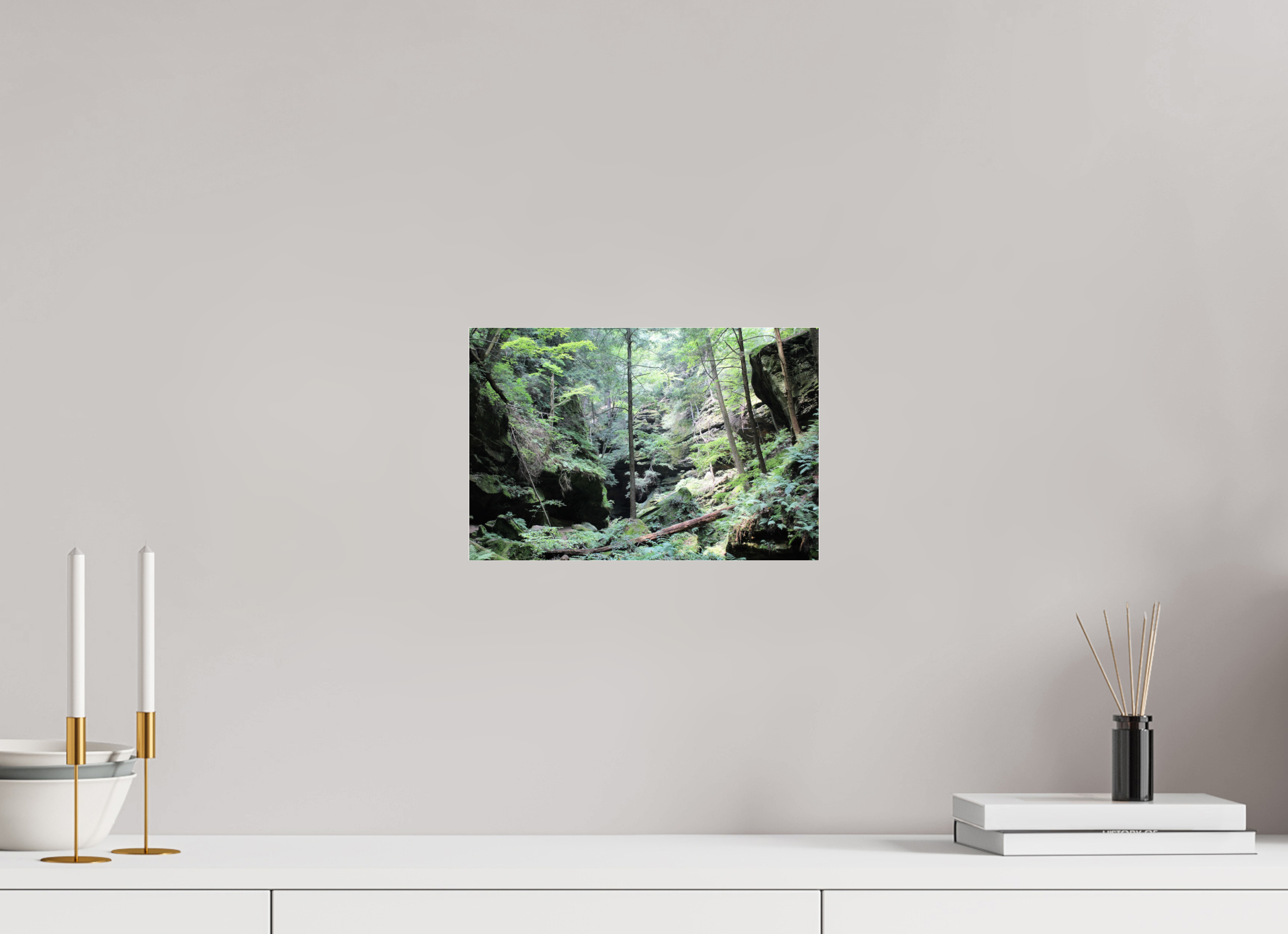 12 x 8″, Photo Print Under Acrylic Glass Woodland trek