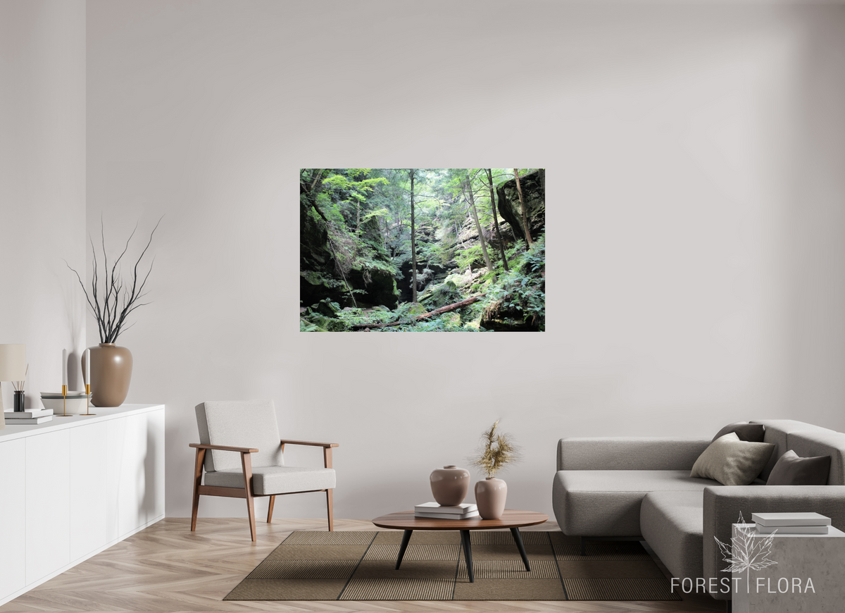 60 x 40″, Photo Print Under Acrylic Glass Woodland trek