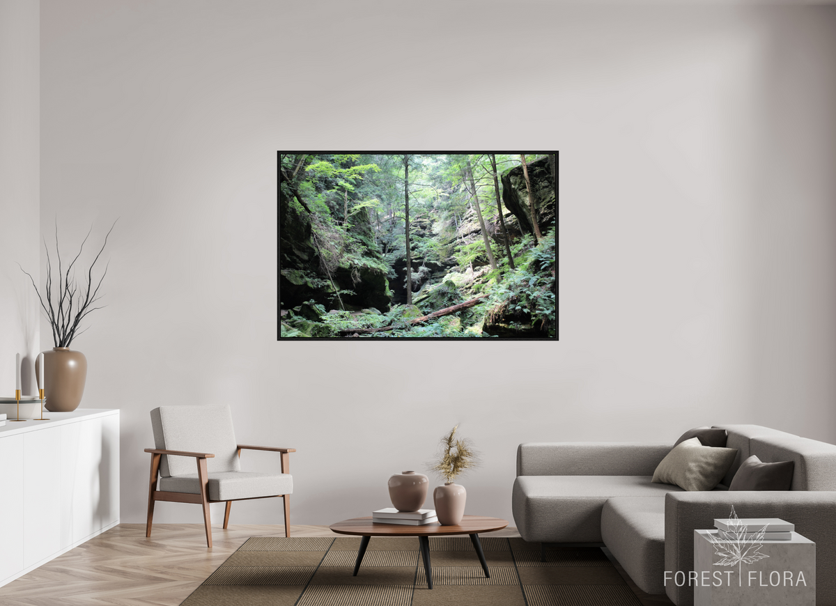 66 x 44″, Floater Frame Woodland trek