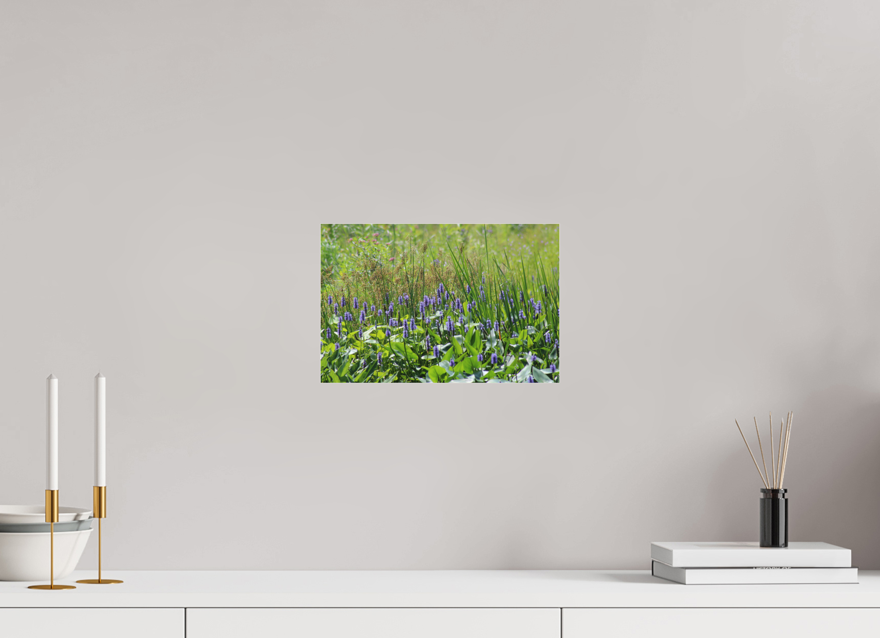 12 x 8″, Photo Print Under Acrylic Glass Pickeralweed pond