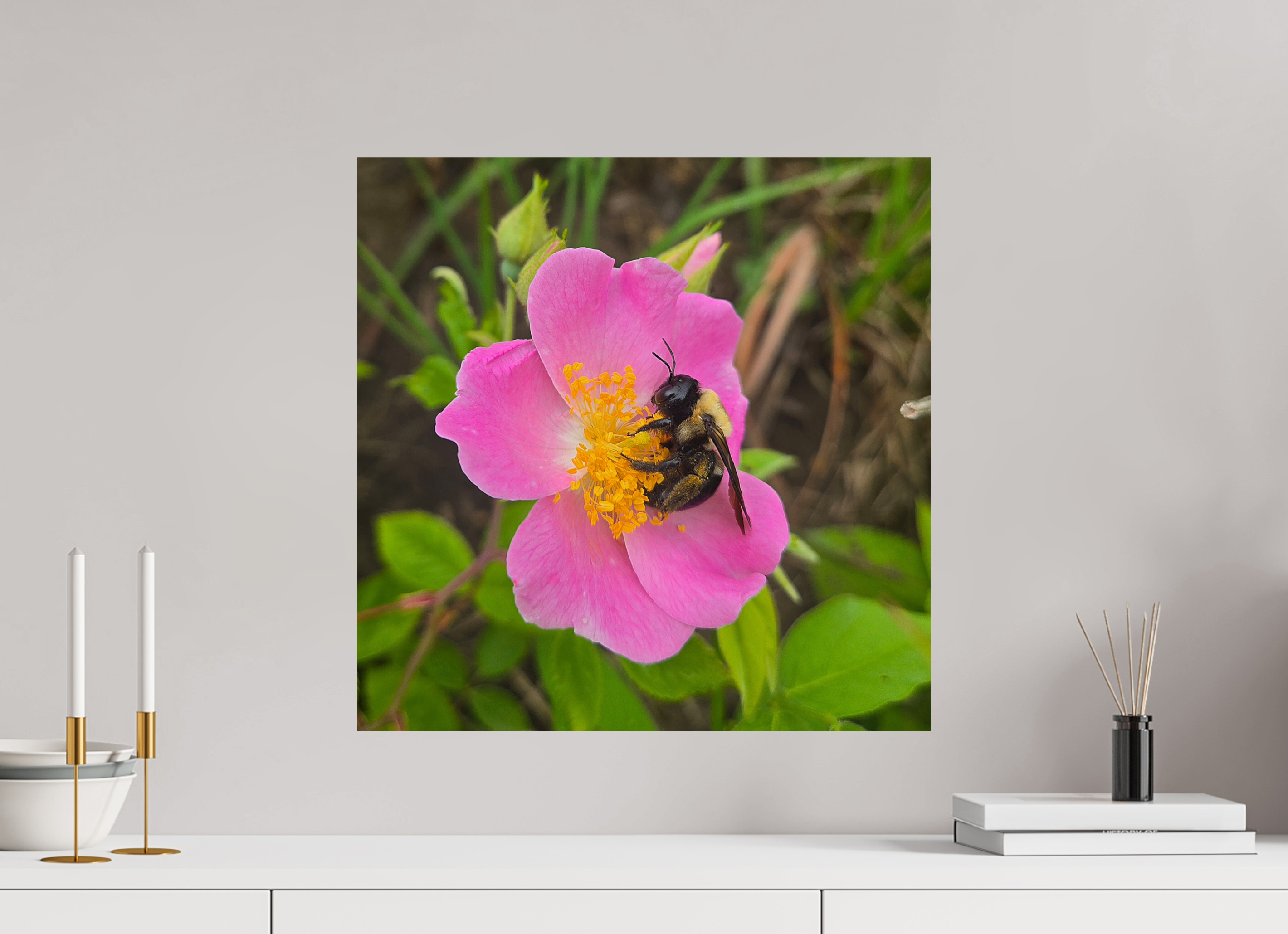 20 x 20″, Photo Print On Fuji Crystal DP II Pollinator at restt