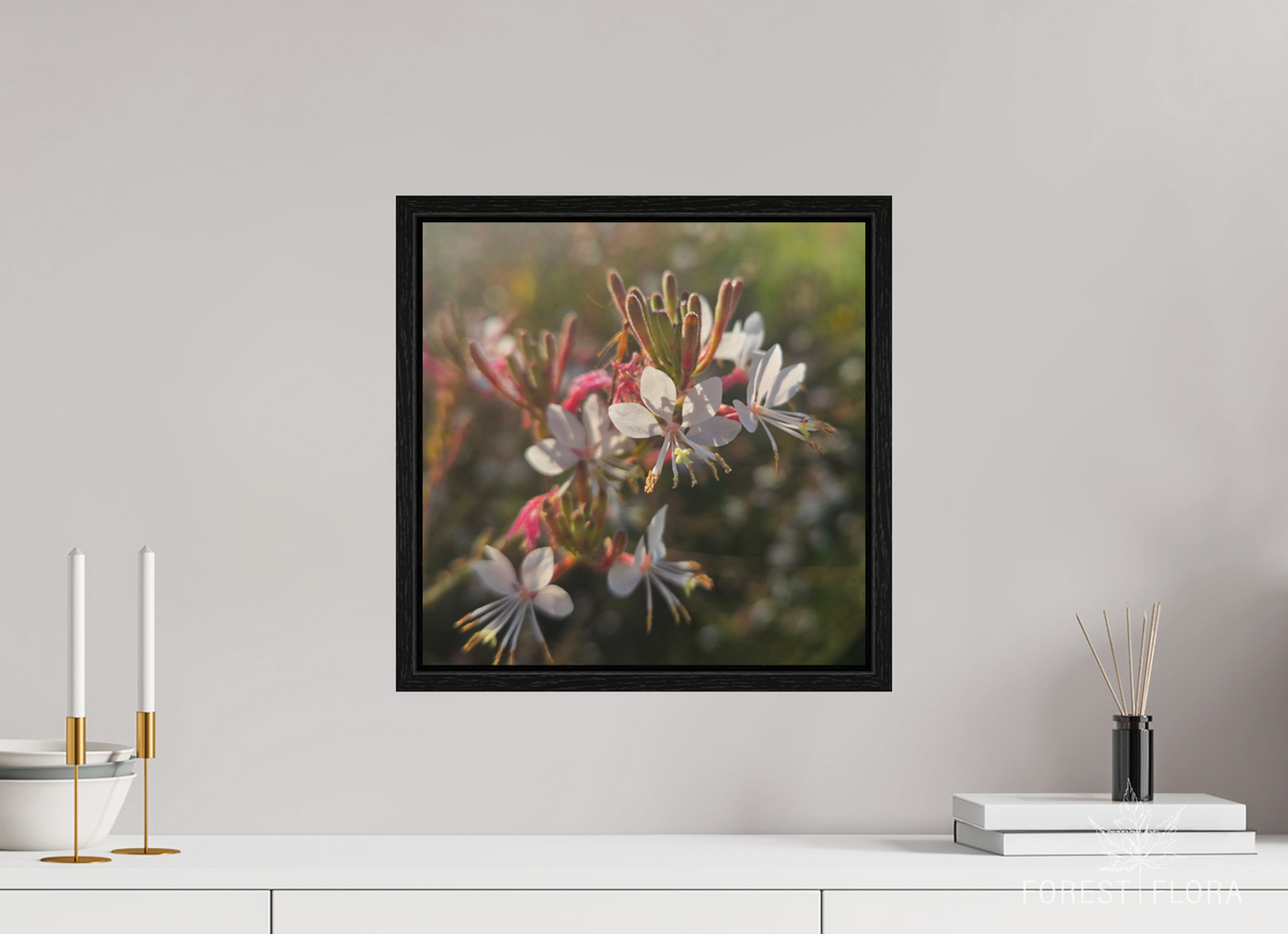 15 x 15″, Floater Frame Morning light