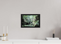 12 x 8″, Floater Frame Woodland trek