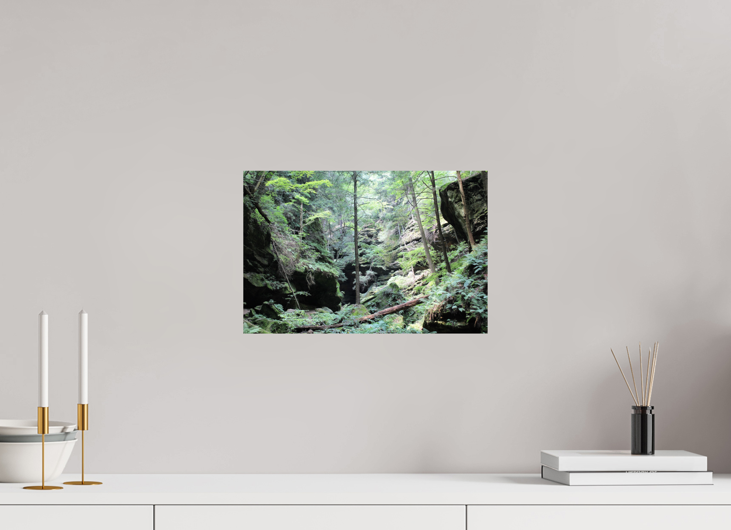15 x 10″, Photo Print On Fuji Crystal DP II Woodland trek