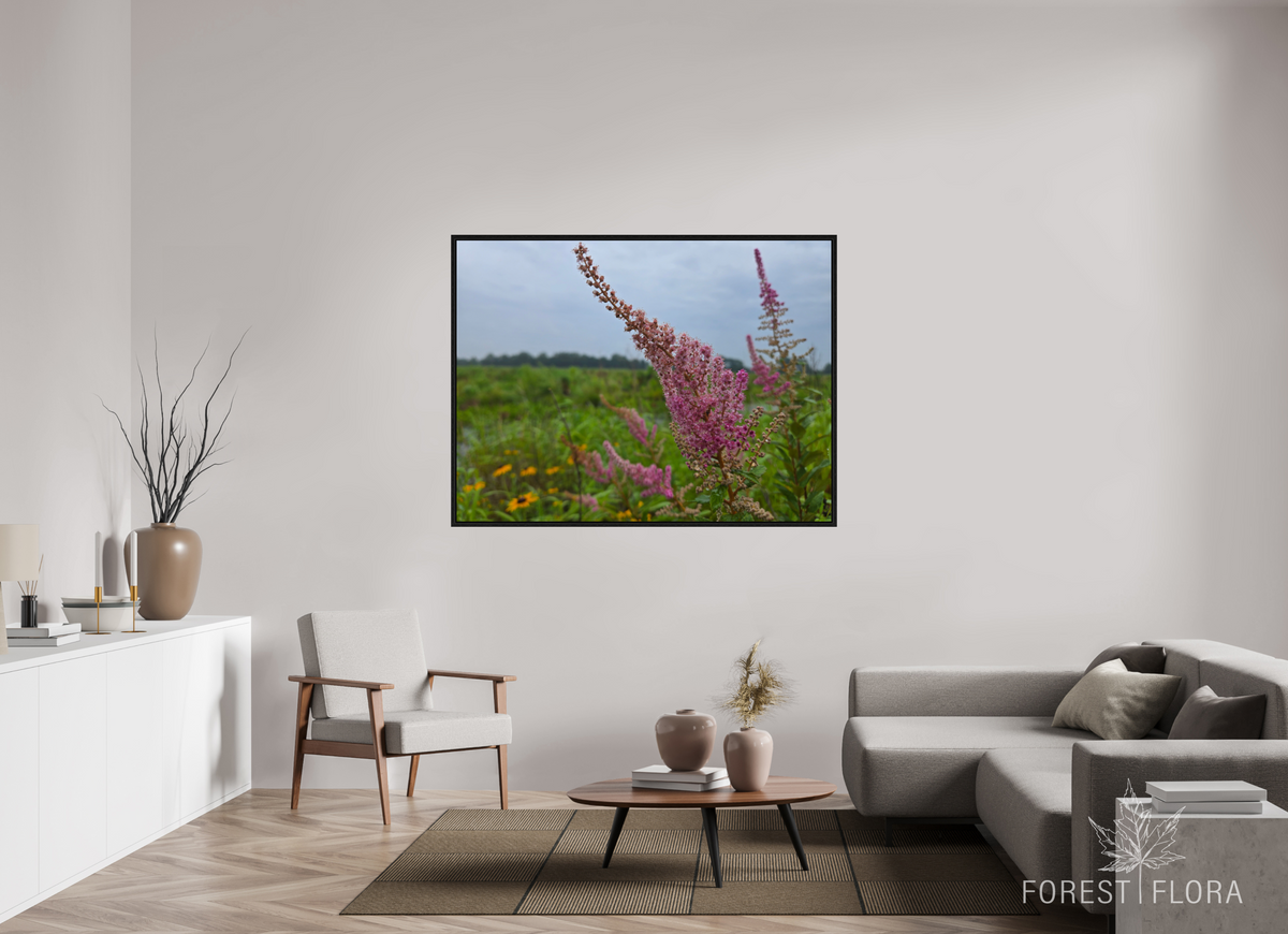 60 x 45″, Floater Frame Spireae Spires